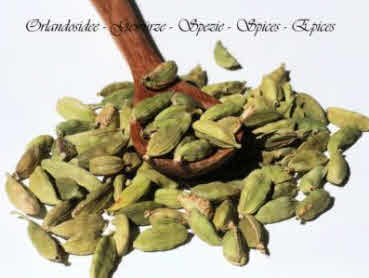 Cardamom green
