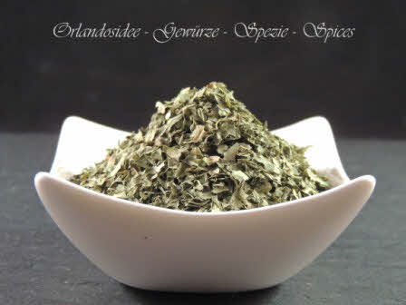Estragon en feuilles, Artemisia dracunculus