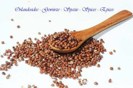 Grains of Paradise