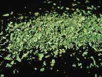 Lovage leaves