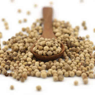 Pepper – Versatile & Aromatic