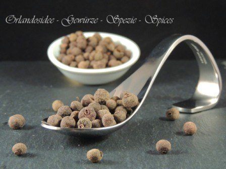 Pimentkörner - Nelkenpfeffer - Allspice