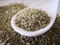 Romarin - Rosmarinus officinale