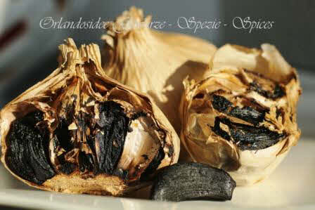 Schwarzer Knoblauch, Allium Sativum