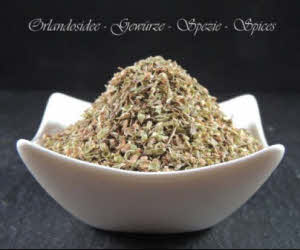 Origan, Origanum vulgare