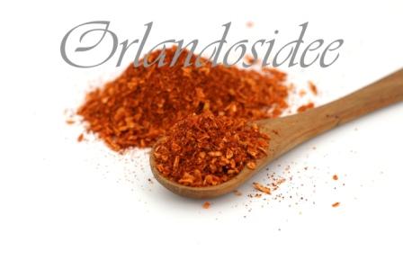 Churrasco Mexican Rub