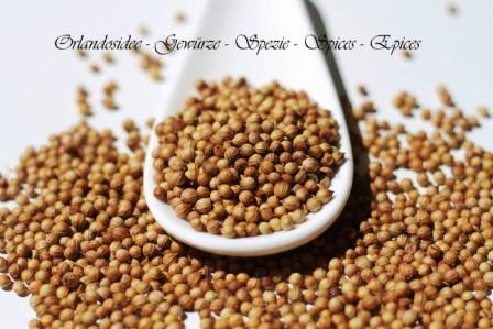 Coriandolo Macinato - 30g - E' QUA Associazione Di Promozione Sociale - Foto 3