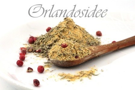 Kreolische Gewürzmischung – Pikant, Würzig & Ideal für BBQ