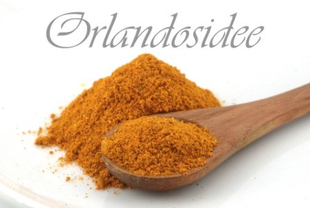 Curry Madras Currygewurz Kaufen Orlandosidee