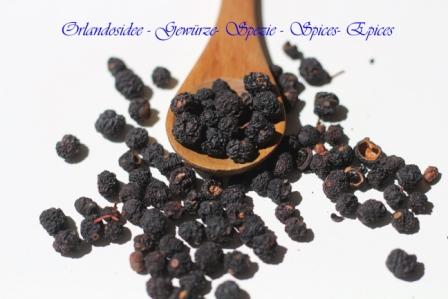 Tasmanian Pepper