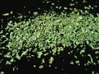 Levistico, foglie , Leviticum officinale, erbe aromatiche