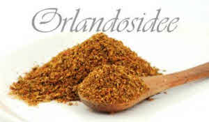 African Rub 