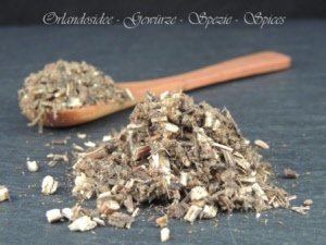 Armoise Artemisia vulgaris