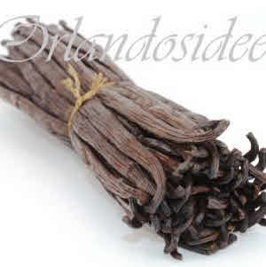 Vaniglia Bourbon del Madagascar