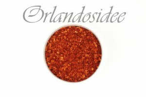 Churrasco Mexican Rub