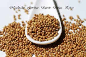 Coriander seeds