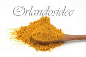 Curry Englisch