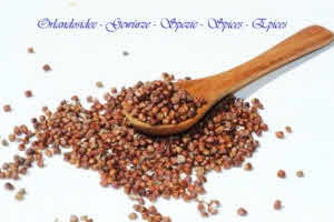Grains of paradise