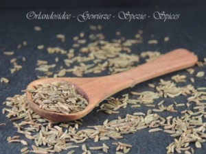 Kreuzkümmel Gewürz
