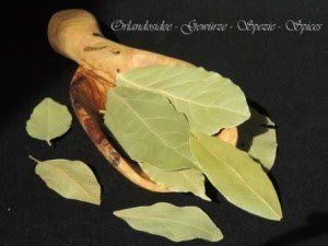 Feuilles de laurier entières - Laurus nobilis