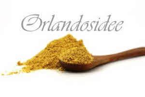 Moutarde en poudre jaune