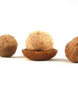 Noix de muscade - Myristica fragrans