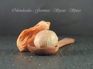 Muskatnuss und Macis