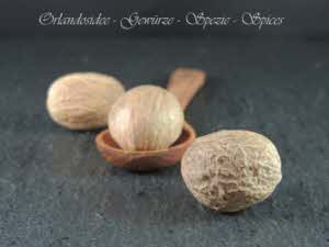 Spice: Nutmeg