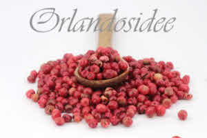 Baie Rose Poivre rouge