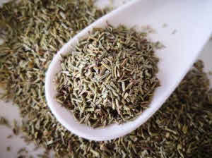 Rosmarino selvatico