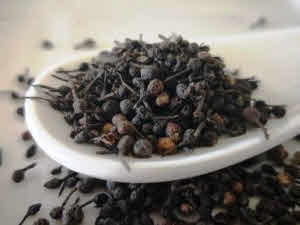 Voatsiperifer Pepper - Piper borbonese