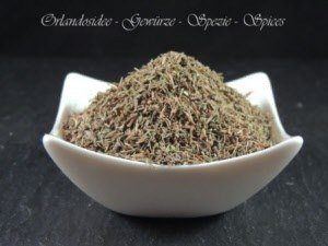 Thym Sauvage Thymus vulgaris