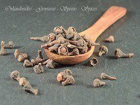 Cannelier de Chine